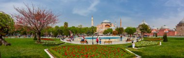 Sultanahmet bölgesindeki Lale Festivali sırasında İstanbul 'dan laleler