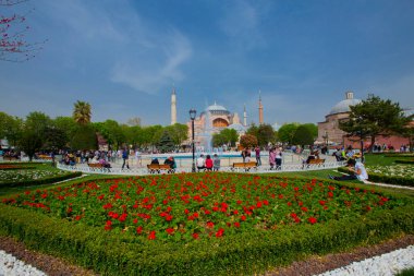 Sultanahmet bölgesindeki Lale Festivali sırasında İstanbul 'dan laleler