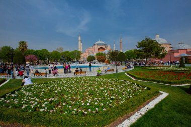 Sultanahmet bölgesindeki Lale Festivali sırasında İstanbul 'dan laleler
