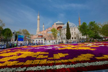 Sultanahmet bölgesindeki Lale Festivali sırasında İstanbul 'dan laleler
