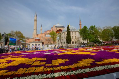 Sultanahmet bölgesindeki Lale Festivali sırasında İstanbul 'dan laleler