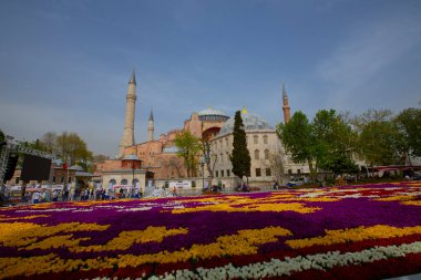 Sultanahmet bölgesindeki Lale Festivali sırasında İstanbul 'dan laleler