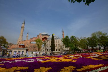 Sultanahmet bölgesindeki Lale Festivali sırasında İstanbul 'dan laleler