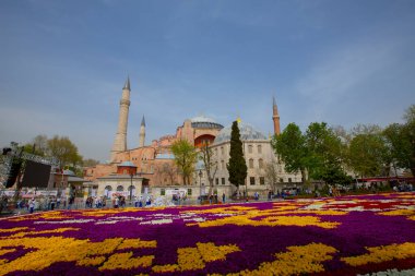 Sultanahmet bölgesindeki Lale Festivali sırasında İstanbul 'dan laleler