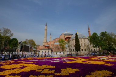 Sultanahmet bölgesindeki Lale Festivali sırasında İstanbul 'dan laleler