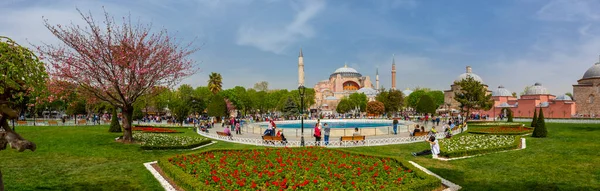 Тюльпани Стамбула Під Час Фестивалю Тюльпан Султанахметі — стокове фото