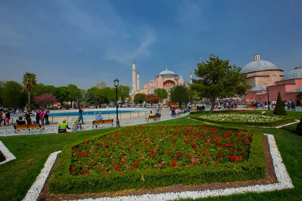 Tulipánok Isztambulból Tulipán Fesztivál Idején Sultanahmet Régióban — Stock Fotó