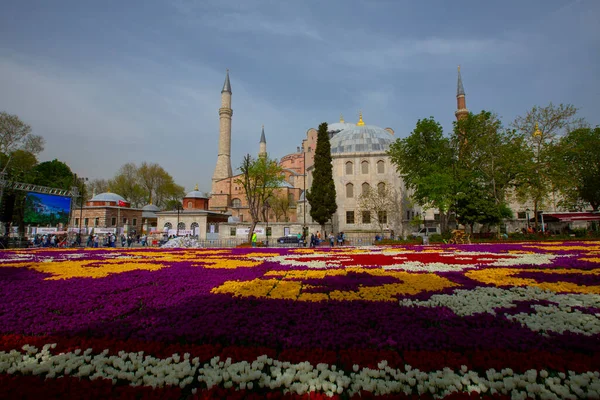 Tulipanes Estambul Durante Festival Tulipán Región Sultanahmet —  Fotos de Stock
