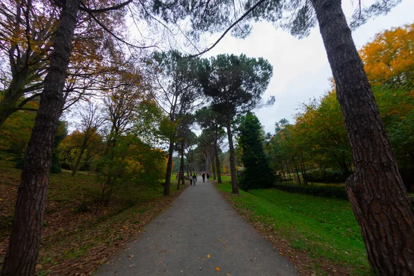 Ataturk Arboretum Distrito Sariyer Estambul —  Fotos de Stock