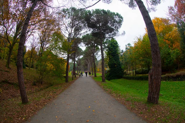 Ataturk Arboretum Στην Περιοχή Sariyer Της Κωνσταντινούπολης — Φωτογραφία Αρχείου