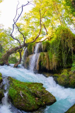 Duden şelalesi Antalya hindisi. Yeşil ağaçlı vahşi yaz. Duden Şelalesi 'nde panoramik manzara. Açık hava şelalesi. Hindi doğa manzarası. Şelale Ormanı Doğa.