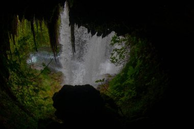 Duden şelalesi Antalya hindisi. Yeşil ağaçlı vahşi yaz. Duden Şelalesi 'nde panoramik manzara. Açık hava şelalesi. Hindi doğa manzarası. Şelale Ormanı Doğa.