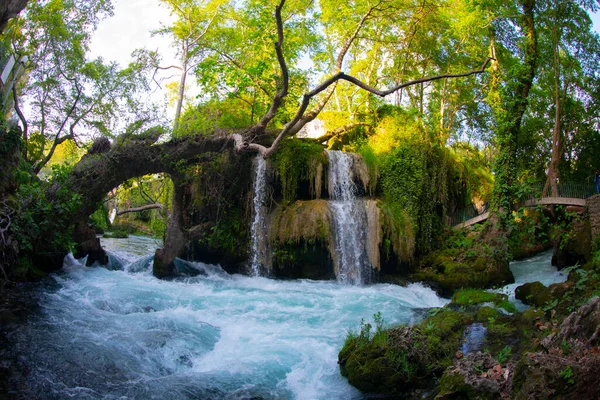 ドゥーデン滝 アンタルヤトルコ 緑の木と夏の野生の自然 大殿の滝のパノラマビュー 屋外の森の滝 トルコの自然景観 滝の森の自然 — ストック写真