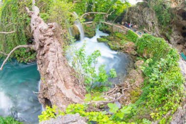 Duden şelalesi Antalya hindisi. Yeşil ağaçlı vahşi yaz. Duden Şelalesi 'nde panoramik manzara. Açık hava şelalesi. Hindi doğa manzarası. Şelale Ormanı Doğa.