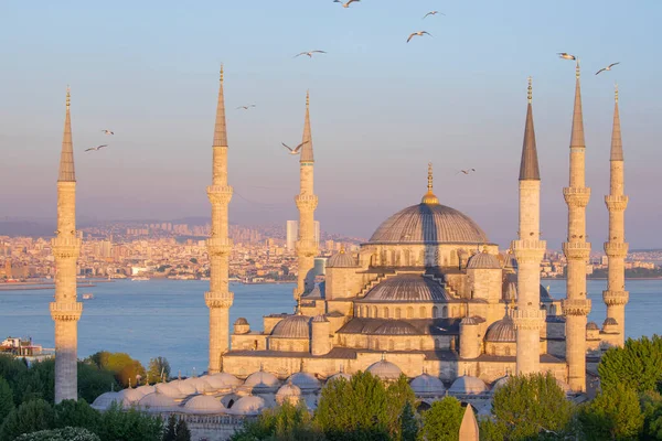 Blaue Moschee Sultanahmet Camii Bosporus Und Asiatische Skyline Istanbul Türkei — Stockfoto