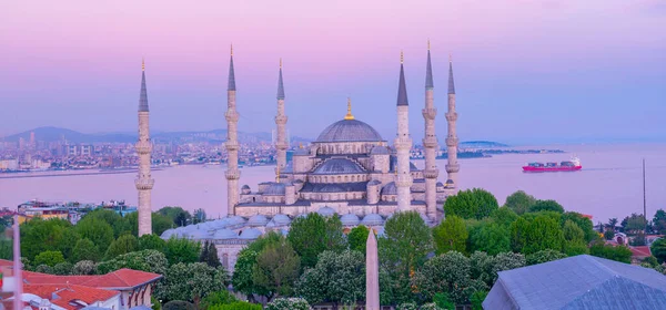 Голубой Фасад Султанахмет Босфор Боковой Горизонт Стамбул Турция — стоковое фото