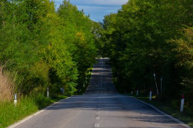 Toskana, İtalya 'nın en güzel şehri ve ağaçlarla kaplı yol.