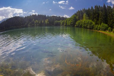 Savsat 'taki Karagol Gölü. Artvin, Türkiye. Göldeki ahşap iskele. Karagol 'da sonbahar manzarası. Gölü yansıtan güzel renkler ve manzara. Sahra Ulusal Parkı 'ndaki göl.