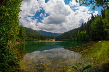 Savsat 'taki Karagol Gölü. Artvin, Türkiye. Göldeki ahşap iskele. Karagol 'da sonbahar manzarası. Gölü yansıtan güzel renkler ve manzara. Sahra Ulusal Parkı 'ndaki göl.