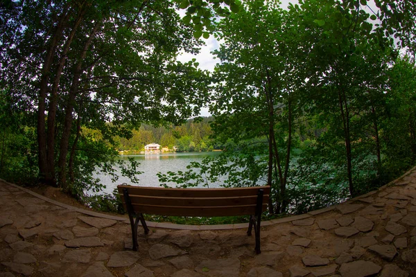 터키의 호수에 나무로 풍경을 호수에 반사되어 아름다운 사하라 공원에 — 스톡 사진