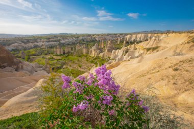 Kapadokya 'nın Goreme köyü yakınlarındaki Aşk Vadisi' nin panoramik manzarası