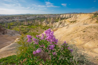 Kapadokya 'nın Goreme köyü yakınlarındaki Aşk Vadisi' nin panoramik manzarası