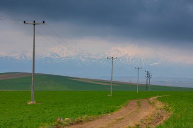 Türkiye 'nin Aksaray ilçesine bağlı Hasan Dağı, ülkenin en büyük dağlarından biridir. Tepesi 3268 olan volkanik bir dağ.