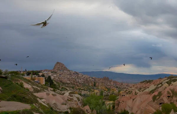 Landscapes Valley Pigeons Cappadocia Turkey — стокове фото