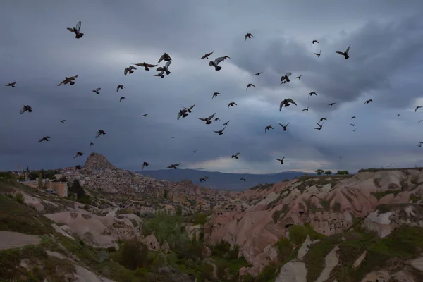 Landscapes Valley Pigeons Cappadocia Turkey — Foto de Stock