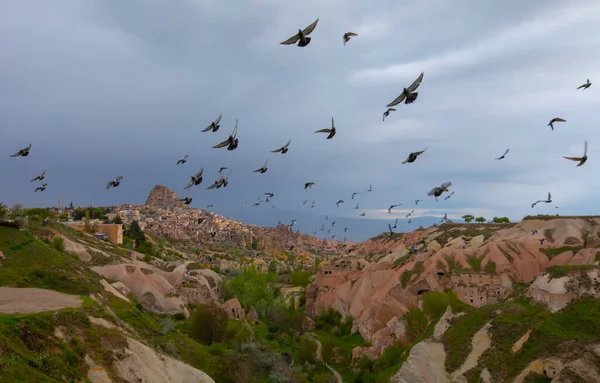 Landscapes Valley Pigeons Cappadocia Turkey — 스톡 사진