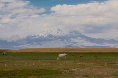 Sultan Sazl Milli Parkı bir kuş cennetidir. Türkiye 'de ünlü bir turistik bölge olan Kayseri' dir. Manzarada arka planda sazlıklar ve Erciyes dağı arasında tahta bir yol var..