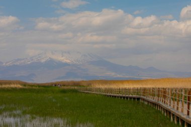 Sultan Sazl Milli Parkı bir kuş cennetidir. Türkiye 'de ünlü bir turistik bölge olan Kayseri' dir. Manzarada arka planda sazlıklar ve Erciyes dağı arasında tahta bir yol var..