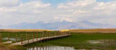 Sultan Sazl Milli Parkı bir kuş cennetidir. Türkiye 'de ünlü bir turistik bölge olan Kayseri' dir. Manzarada arka planda sazlıklar ve Erciyes dağı arasında tahta bir yol var..