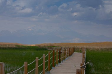 Sultan Sazl Milli Parkı bir kuş cennetidir. Türkiye 'de ünlü bir turistik bölge olan Kayseri' dir. Manzarada arka planda sazlıklar ve Erciyes dağı arasında tahta bir yol var..