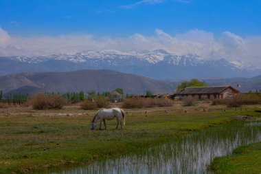 Sultan Sazl Milli Parkı bir kuş cennetidir. Türkiye 'de ünlü bir turistik bölge olan Kayseri' dir. Manzarada arka planda sazlıklar ve Erciyes dağı arasında tahta bir yol var..