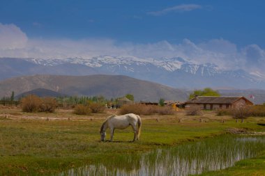 Sultan Sazl Milli Parkı bir kuş cennetidir. Türkiye 'de ünlü bir turistik bölge olan Kayseri' dir. Manzarada arka planda sazlıklar ve Erciyes dağı arasında tahta bir yol var..