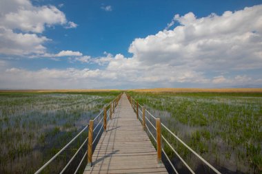 Sultan Sazl Milli Parkı bir kuş cennetidir. Türkiye 'de ünlü bir turistik bölge olan Kayseri' dir. Manzarada arka planda sazlıklar ve Erciyes dağı arasında tahta bir yol var..