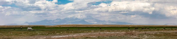 Sultan Sazl National Park Ett Fågelparadis Det Berömd Turistregion Kayseri — Stockfoto