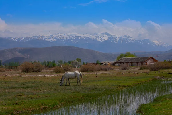 Sazl Szultán Nemzeti Park Egy Madárparadicsom Egy Híres Turisztikai Régió — Stock Fotó