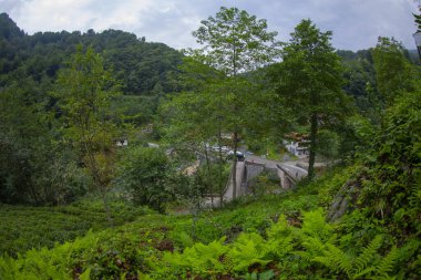 Arhavi Kucukkoy köyünde ele geçirilen köprünün güzel bir manzarası