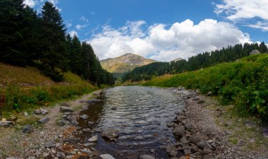 Türkiye 'nin Savsat ilçesinde Balık Gölü (Balikgol) manzarası