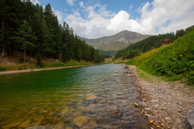Türkiye 'nin Savsat ilçesinde Balık Gölü (Balikgol) manzarası