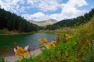 Türkiye 'nin Savsat ilçesinde Balık Gölü (Balikgol) manzarası