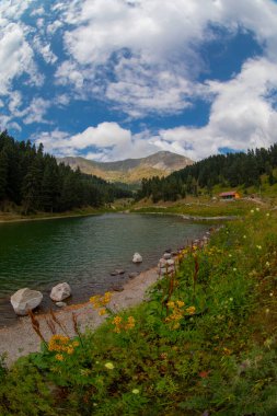 Türkiye 'nin Savsat ilçesinde Balık Gölü (Balikgol) manzarası