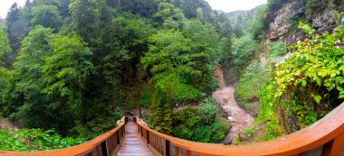 Camlihemsin 'deki Palovit Şelalesi Türkiye' yi Rize