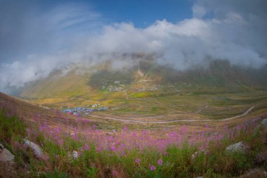 Trovit Platosu, Türkiye 'nin Rize ilçesine 64 km uzaklıktaki Amlhemin ilçesinde bulunan bir platodur. Trovit muhteşem atmosferiyle ziyaretçilerini büyülüyor..
