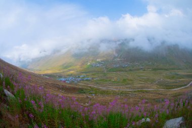 Trovit Platosu, Türkiye 'nin Rize ilçesine 64 km uzaklıktaki Amlhemin ilçesinde bulunan bir platodur. Trovit muhteşem atmosferiyle ziyaretçilerini büyülüyor..