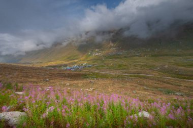 Trovit Platosu, Türkiye 'nin Rize ilçesine 64 km uzaklıktaki Amlhemin ilçesinde bulunan bir platodur. Trovit muhteşem atmosferiyle ziyaretçilerini büyülüyor..