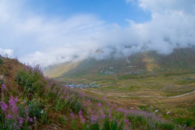 Trovit Platosu, Türkiye 'nin Rize ilçesine 64 km uzaklıktaki Amlhemin ilçesinde bulunan bir platodur. Trovit muhteşem atmosferiyle ziyaretçilerini büyülüyor..