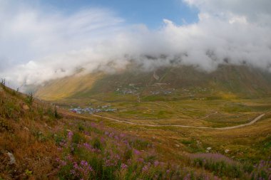Trovit Platosu, Türkiye 'nin Rize ilçesine 64 km uzaklıktaki Amlhemin ilçesinde bulunan bir platodur. Trovit muhteşem atmosferiyle ziyaretçilerini büyülüyor..